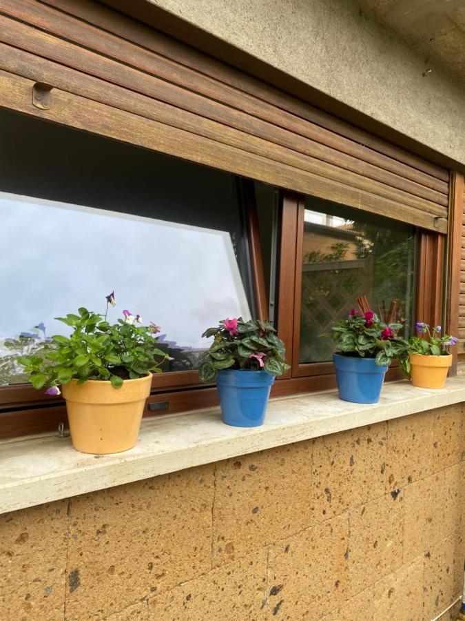 Il Giardinetto Di Elelu' Private Garage Apartman Orvieto Kültér fotó